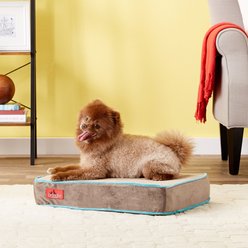 Brindle Plush Orthopedic Pillow Cat & Dog Bed with Removable Cover, Mocha Blue, Small