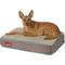 Show in main carousel: Brindle Plush Orthopedic Pillow Cat & Dog Bed with Removable Cover, Mocha Blue, Small slide 4 of 9