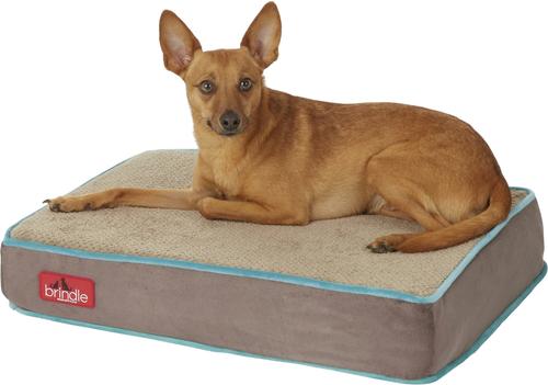 Show full view: Brindle Plush Orthopedic Pillow Cat & Dog Bed with Removable Cover, Mocha Blue, Small slide 4 of 9