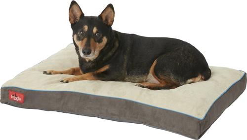 Show full view: Brindle Soft Orthopedic Pillow Cat & Dog Bed with Removable Cover, Khaki, 34 x 22 in slide 5 of 9