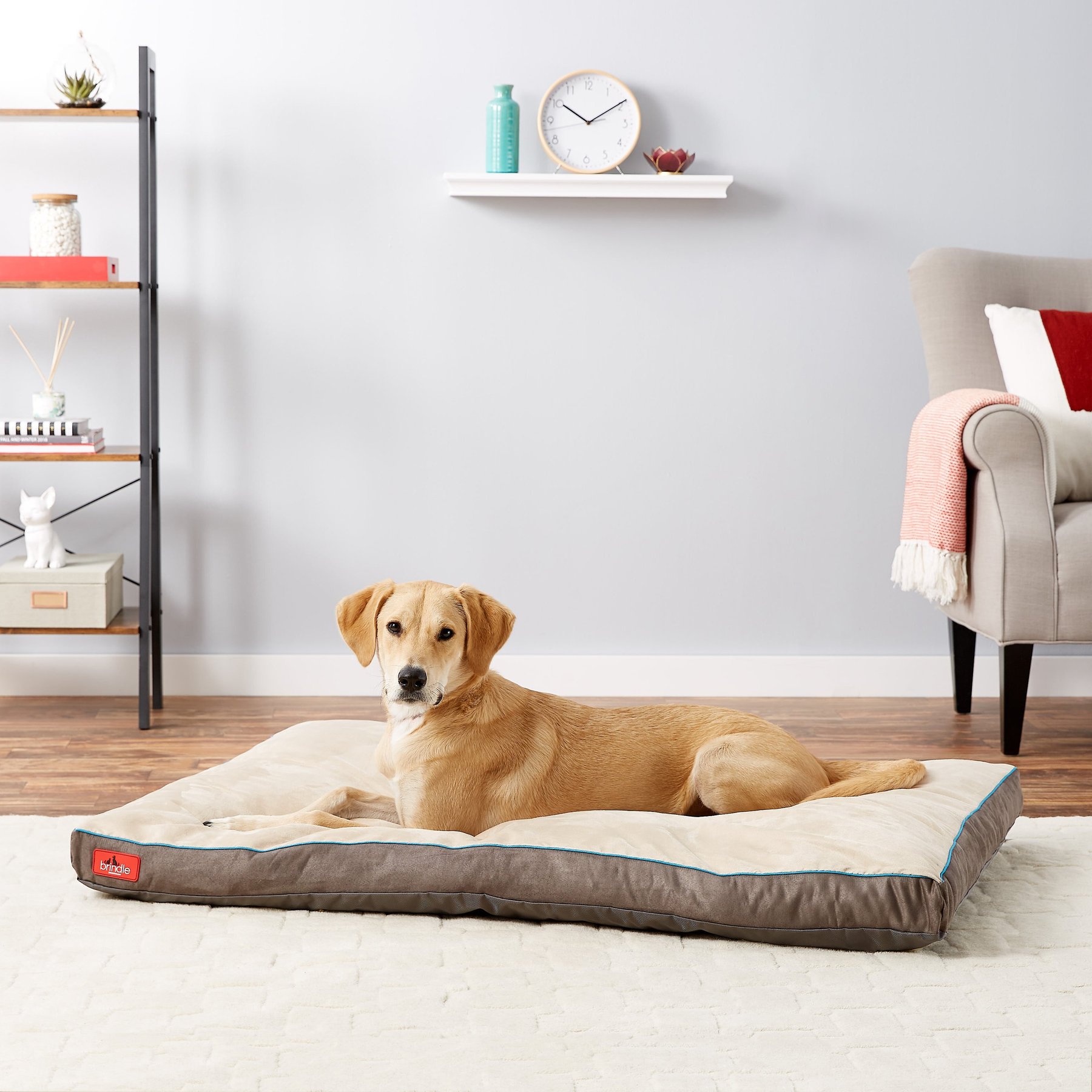 Brindle Soft Orthopedic Pillow Cat & Dog Bed with Removable Cover, Khaki, 52 x 34 in