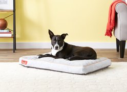 Brindle Soft Orthopedic Pillow Cat & Dog Bed with Removable Cover, Stone, 34 x 22 in