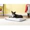 Show in main carousel: Brindle Soft Orthopedic Pillow Cat & Dog Bed with Removable Cover, Stone, 34 x 22 in slide 1 of 8
