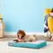 Show in main carousel: Brindle Soft Orthopedic Pillow Cat & Dog Bed with Removable Cover, Teal, 28 x 18 in slide 1 of 9