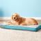 Show in main carousel: Brindle Soft Orthopedic Pillow Cat & Dog Bed with Removable Cover, Teal, 40 x 26 in slide 1 of 8