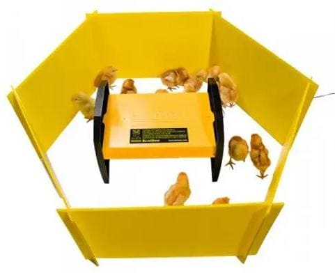 BRINSEA Chick Brooder Enclosure Panel Set - Chewy.com