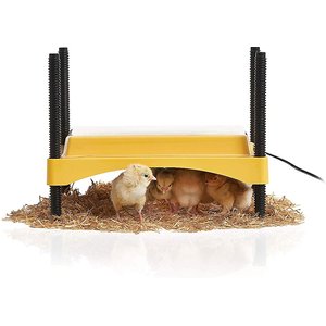 Brinsea EcoGlow Safety Chick & Duckling Brooder, 600