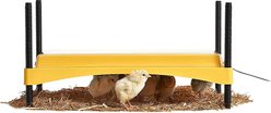 Brinsea EcoGlow Safety Chick & Duckling Brooder, 1200