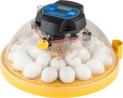 Brinsea Maxi 24 Advance Automatic 24 Egg Incubator, Yellow