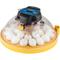 Show in main carousel: Brinsea Maxi 24 EX Automatic with Humidity Control 24 Egg Incubator, Yellow slide 1 of 10