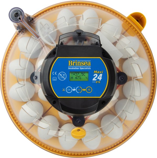 Brinsea Maxi 24 EX Automatic with Humidity Control 24 Egg Incubator, Yellow
