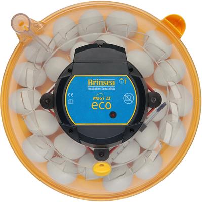 Show full view: Brinsea Mini II Eco Manual Bird Egg Incubator, 30 count slide 3 of 4