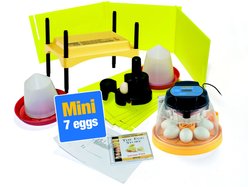 Brinsea Advance Bird Egg Incubator Classroom Pack, Mini II, 7 count