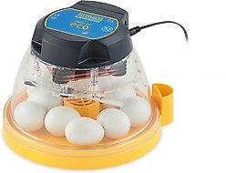 Brinsea Mini II Eco Manual Bird Egg Incubator, 10 count