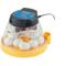 Show in main carousel: Brinsea Mini II Eco Manual Bird Egg Incubator, 10 count slide 1 of 9