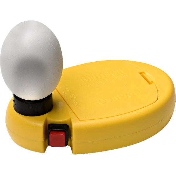 Brinsea Ovascope Bird Egg Candler