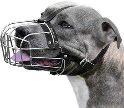 BRONZEDOG Adjustable Leather Strap Basket Muzzle for Large Dogs, Steel