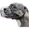 Show in main carousel: BRONZEDOG Adjustable Leather Strap Basket Muzzle for Large Dogs, Steel slide 1 of 7