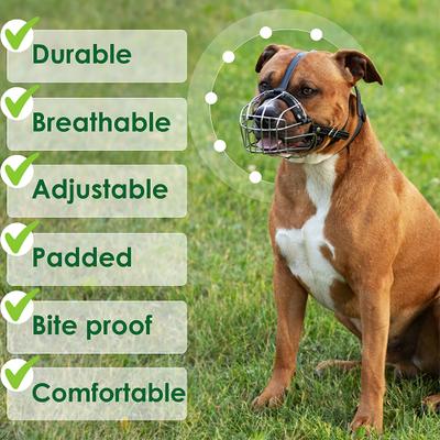 Show full view: BRONZEDOG Adjustable Leather Strap Basket Muzzle for Large Dogs, Steel slide 5 of 7