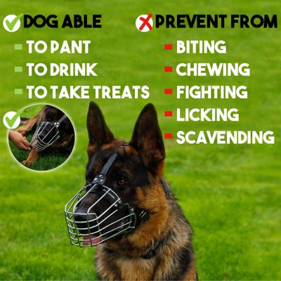 Show full view: BRONZEDOG Adjustable Metal Basket Muzzle for Large Dogs, Steel, Medium slide 4 of 6