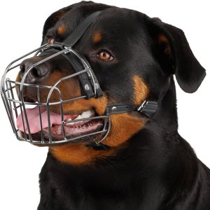 BRONZEDOG Adjustable Metal Wire Basket Muzzle for Large Dogs, Steel, Large