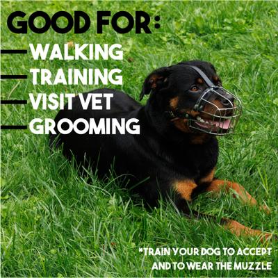 Show full view: BRONZEDOG Adjustable Metal Wire Basket Muzzle for Large Dogs, Steel, Large slide 6 of 7