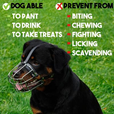 Show full view: BRONZEDOG Adjustable Metal Wire Basket Muzzle for Large Dogs, Steel, Large slide 5 of 7