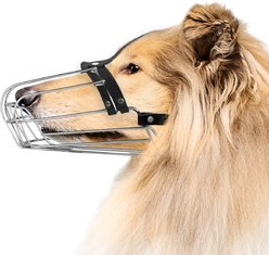 BRONZEDOG Greyhound & Collie Metal Wire Basket Dog Muzzle, Steel, Large