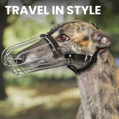 Show full view: BRONZEDOG Greyhound & Collie Metal Wire Basket Dog Muzzle, Steel, Large slide 6 of 7