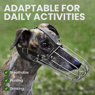 Show full view: BRONZEDOG Greyhound & Collie Metal Wire Basket Dog Muzzle, Steel, Large slide 4 of 7