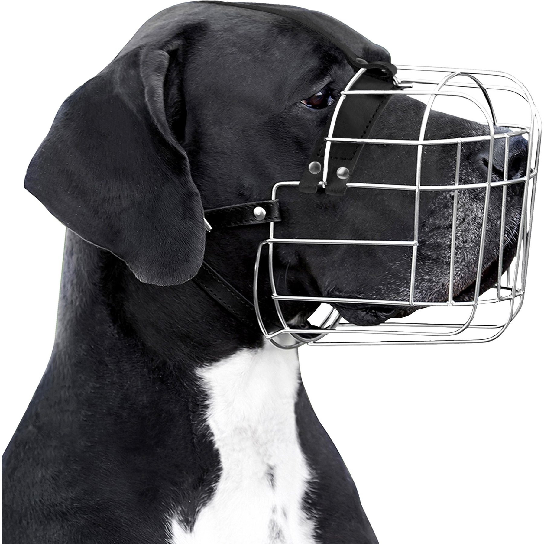 BRONZEDOG Mask with Leather Straps Muzzle for Extra Large Dogs, Steel, X-Large