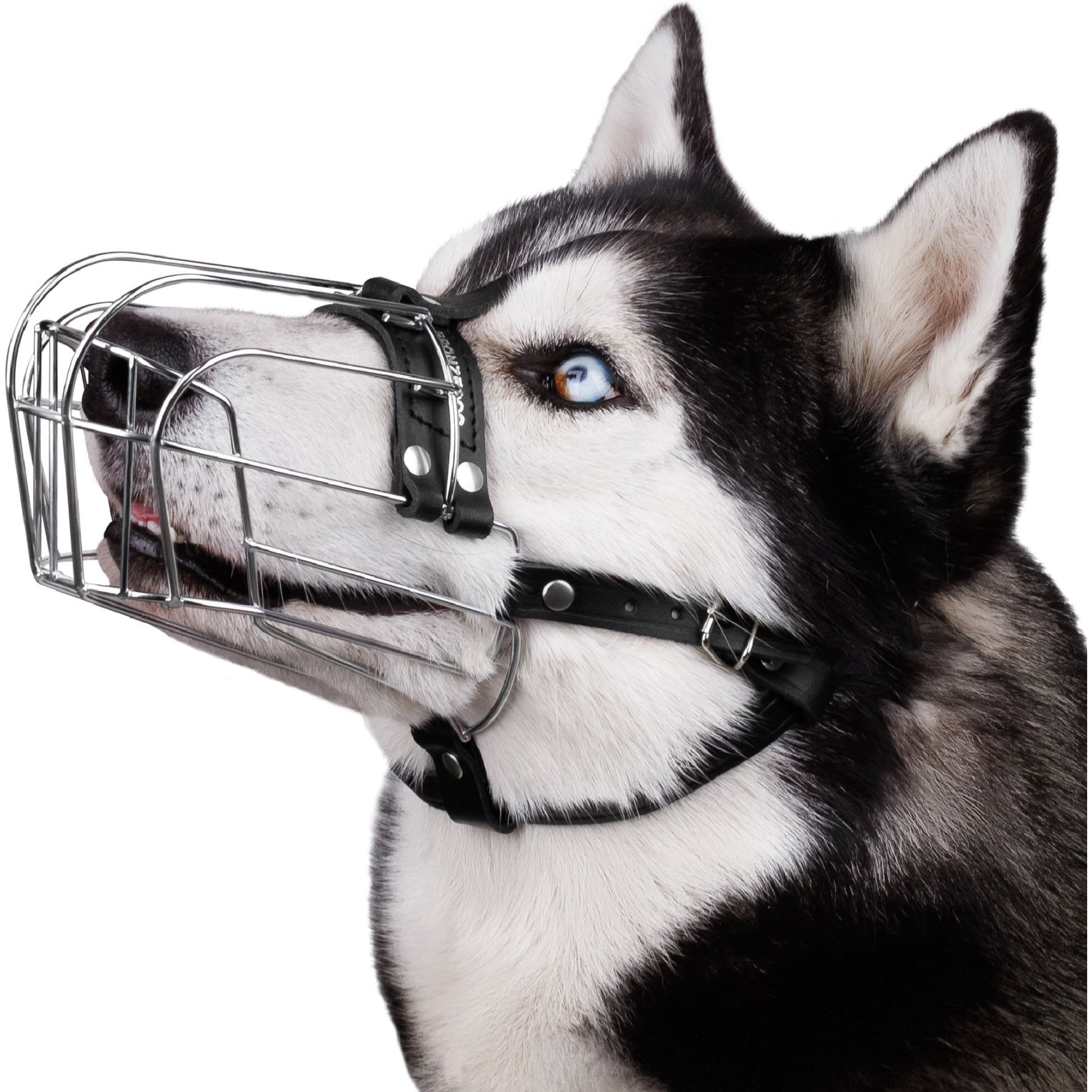 BRONZEDOG Metal Mask Muzzle for Large Dogs, Steel
