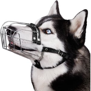 BRONZEDOG Metal Mask Muzzle for Large Dogs, Steel