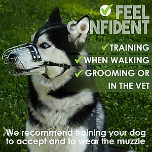 BRONZEDOG Metal Mask Muzzle for Large Dogs, Steel