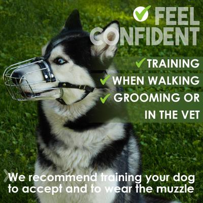 Show full view: BRONZEDOG Metal Mask Muzzle for Large Dogs, Steel slide 6 of 7