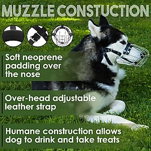 BRONZEDOG Metal Mask Muzzle for Large Dogs, Steel