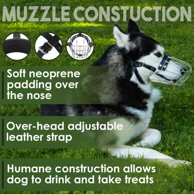 Show full view: BRONZEDOG Metal Mask Muzzle for Large Dogs, Steel slide 4 of 7