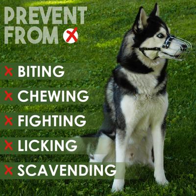 Show full view: BRONZEDOG Metal Mask Muzzle for Large Dogs, Steel slide 5 of 7