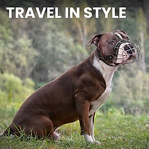 BRONZEDOG Pitbull Breathable Metal Basket Dog Muzzle, Large, Brown
