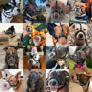 BRONZEDOG Pitbull Breathable Metal Basket Dog Muzzle, Large, Gray