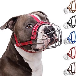 BRONZEDOG Pitbull Breathable Metal Basket Dog Muzzle, Large, Pink