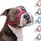 Show in main carousel: BRONZEDOG Pitbull Breathable Metal Basket Dog Muzzle, Large, Pink slide 1 of 6