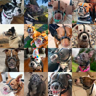 Show full view: BRONZEDOG Pitbull Breathable Metal Basket Dog Muzzle, Large, Pink slide 5 of 6