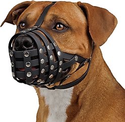 BRONZEDOG Pitbull Breathable PVC Dog Muzzle, Black, Large