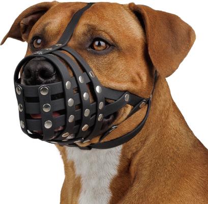 thumbnail image 2 of Adjustable Dog Muzzle – Mesh, Anti Bite & Bark, For Small To XXL Dogs (Pit Bull Friendly) 2 of 6