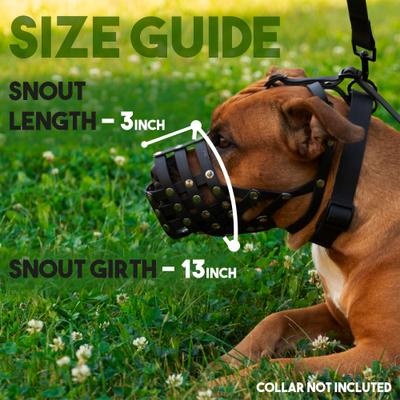 Show full view: BRONZEDOG Pitbull Breathable PVC Dog Muzzle, Black, Large slide 3 of 6