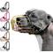 Show in main carousel: BRONZEDOG Pitbull Metal Basket Dog Muzzle, Large, Gold slide 1 of 6