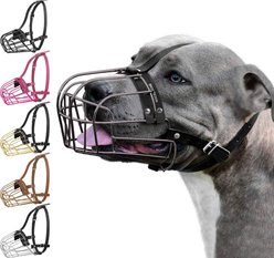 BRONZEDOG Pitbull Metal Basket Dog Muzzle, Large, Graphite Metal