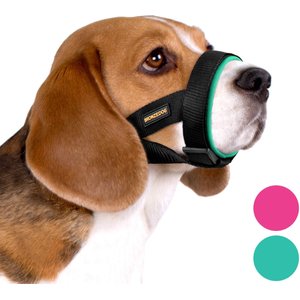 BRONZEDOG Soft Padded Nylon Dog Muzzle, Mint Green, Large