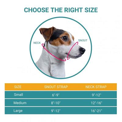 Show full view: BRONZEDOG Soft Padded Nylon Dog Muzzle, Mint Green, Large slide 3 of 7